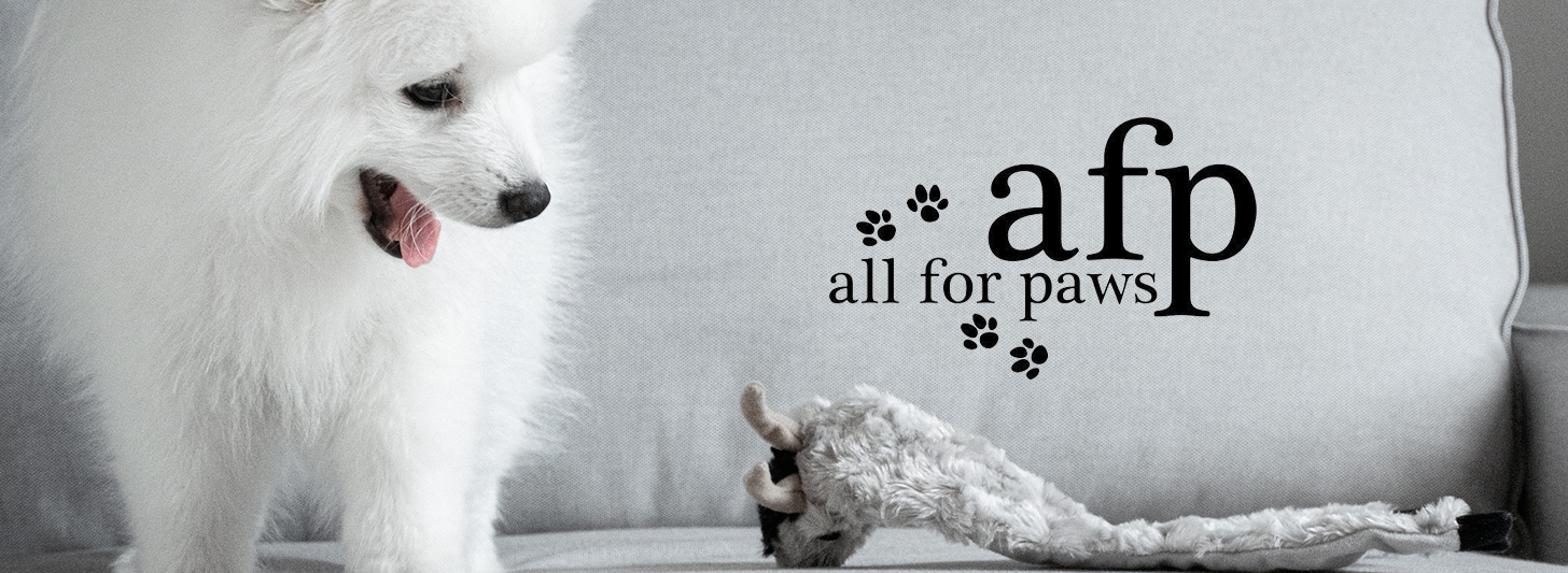 All For Paws - Imagispet